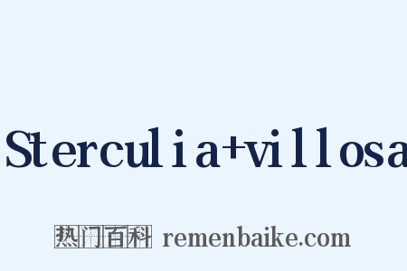 Sterculia+villosa是什么意思的图片